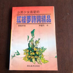 红楼梦诗词精品钢笔字帖