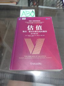 估值：难点、解决方案及相关案例（原书第3版）