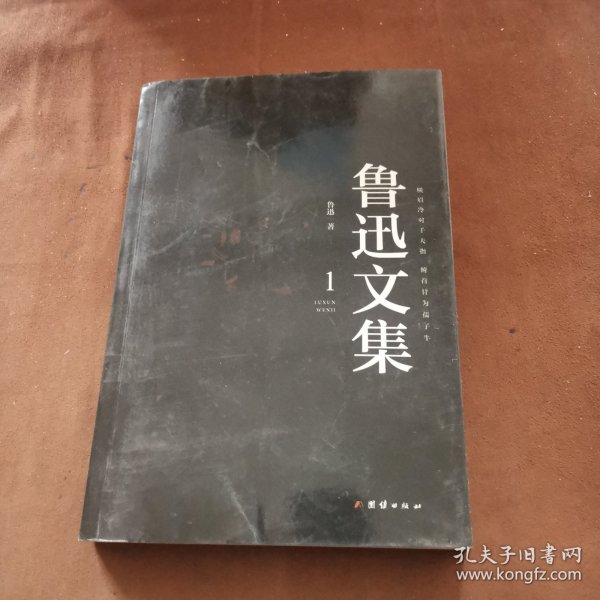 彩色详解 鲁迅文集（套装4册）