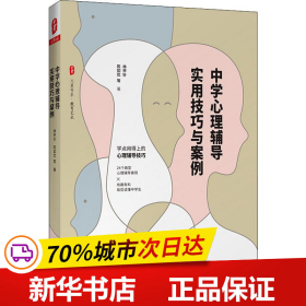 大夏书系·中学心理辅导实用技巧与案例（用得上的心理辅导技巧，24个典型心理辅导案例，助您读懂中学生）