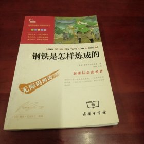 钢铁是怎样炼成的