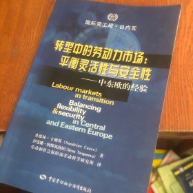 转型中的劳动力市场：平衡灵活性与安全性——中东欧的经验