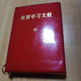 重要学习文献....内毛林彩照、林题