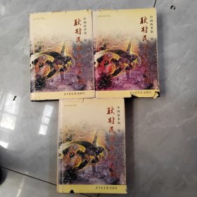 耿村民間文化大觀（上中下）