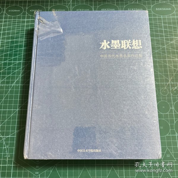 水墨联想：中国当代水墨名家作品集