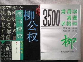 3500常用字索查字帖柳体 柳公权楷书速成九十九天（两册合售）