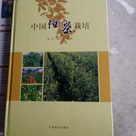 中国油茶栽培