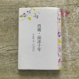 西藏，面冰十年