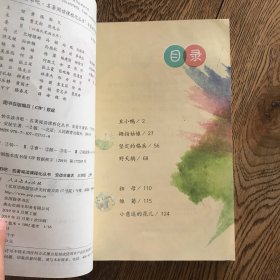 快乐读书吧安徒生童话人教版三年级上册教育部（统）编语文教材指定推荐必读书目