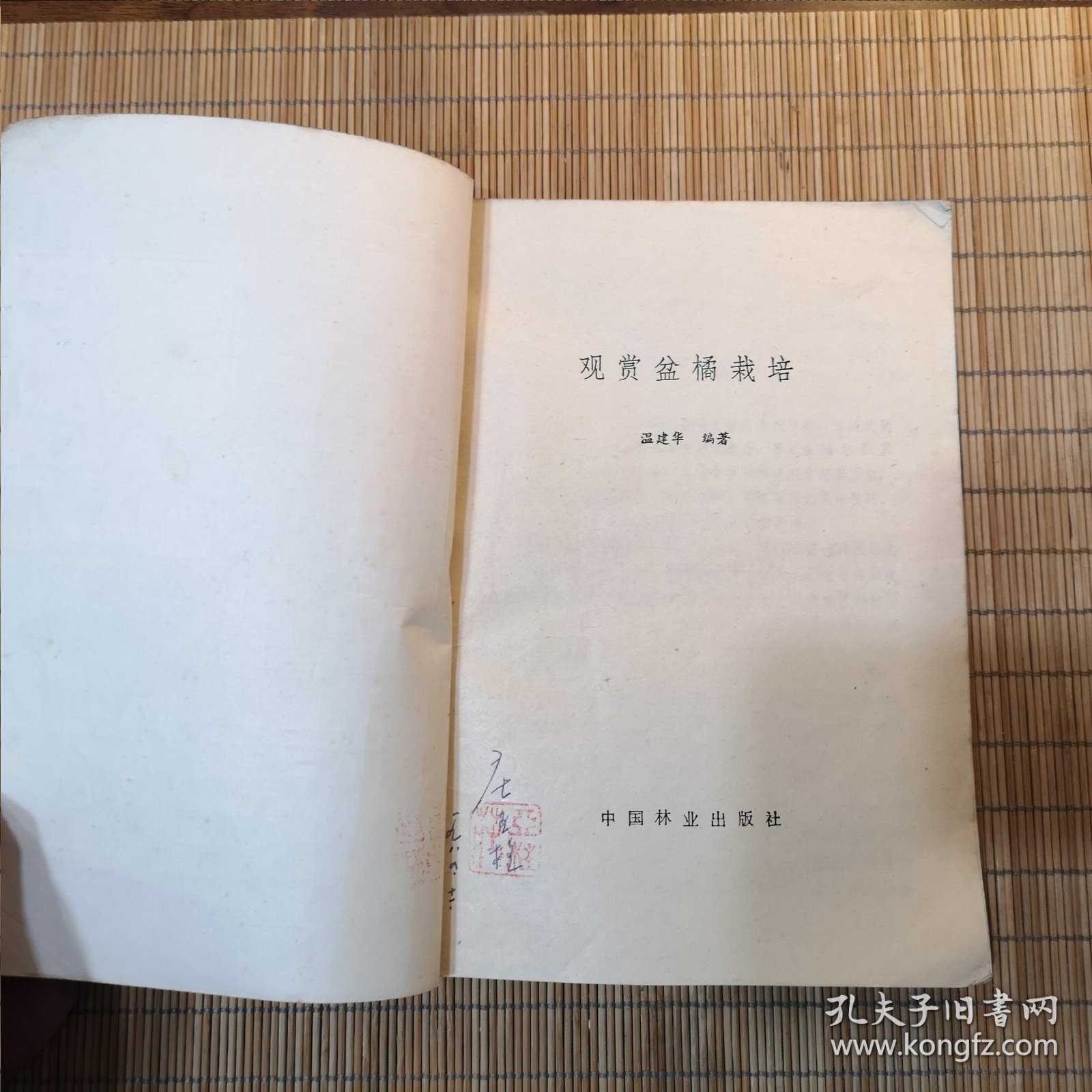 观赏盆橘栽培