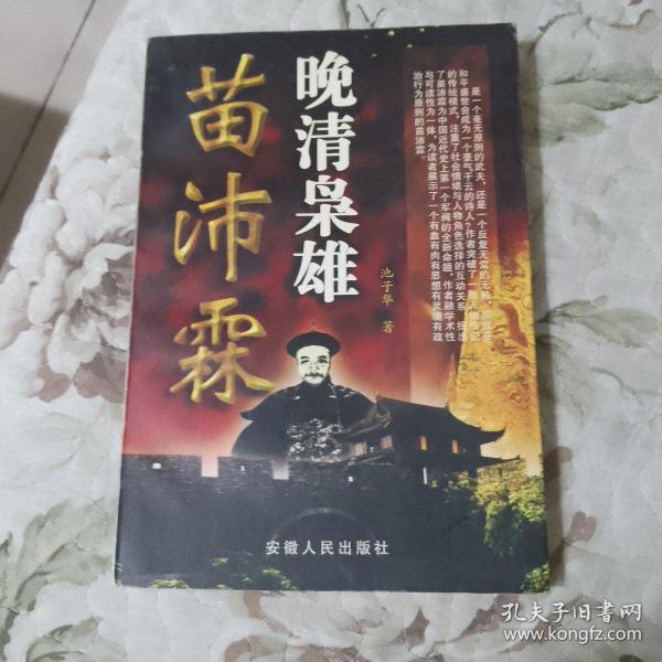 晚清枭雄苗沛霖