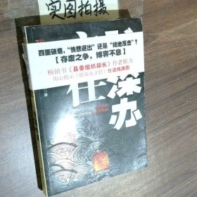 驻深办主任