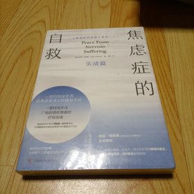 焦虑症的自救2实战篇一部写给全世界抗焦虑战士的随身手册