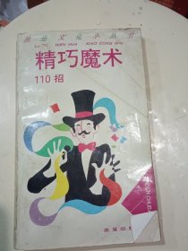 精巧魔术110招