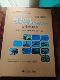 古生物地层/南海西科1井碳酸盐岩生物礁储层沉积学