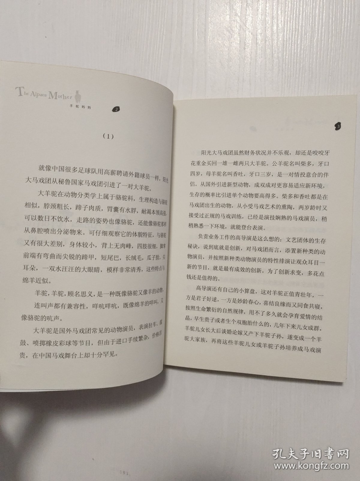 沈石溪精选动物小说 羊驼妈妈