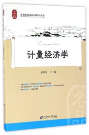 计量经济学(高等院校精品课系列教材)