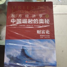 中国崛起的奥秘 财富论