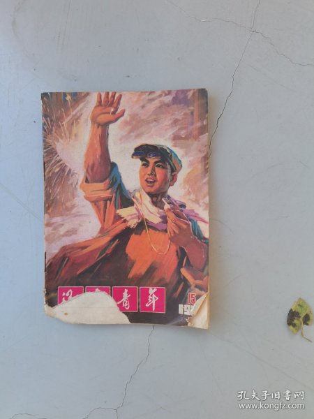 辽宁青年 半月刊（1975-15；总第66期）