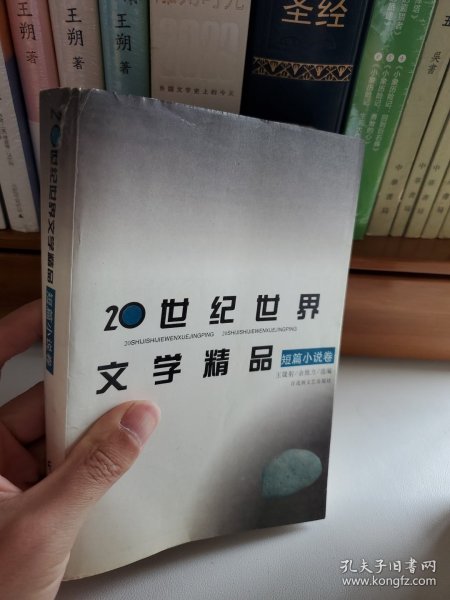 20世纪世界文学精品.短篇小说卷