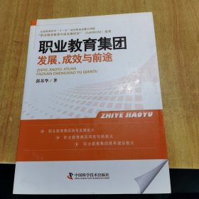 职业教育集团发展、成效与前途