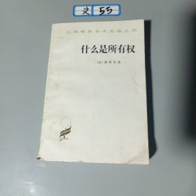 什么是所有权