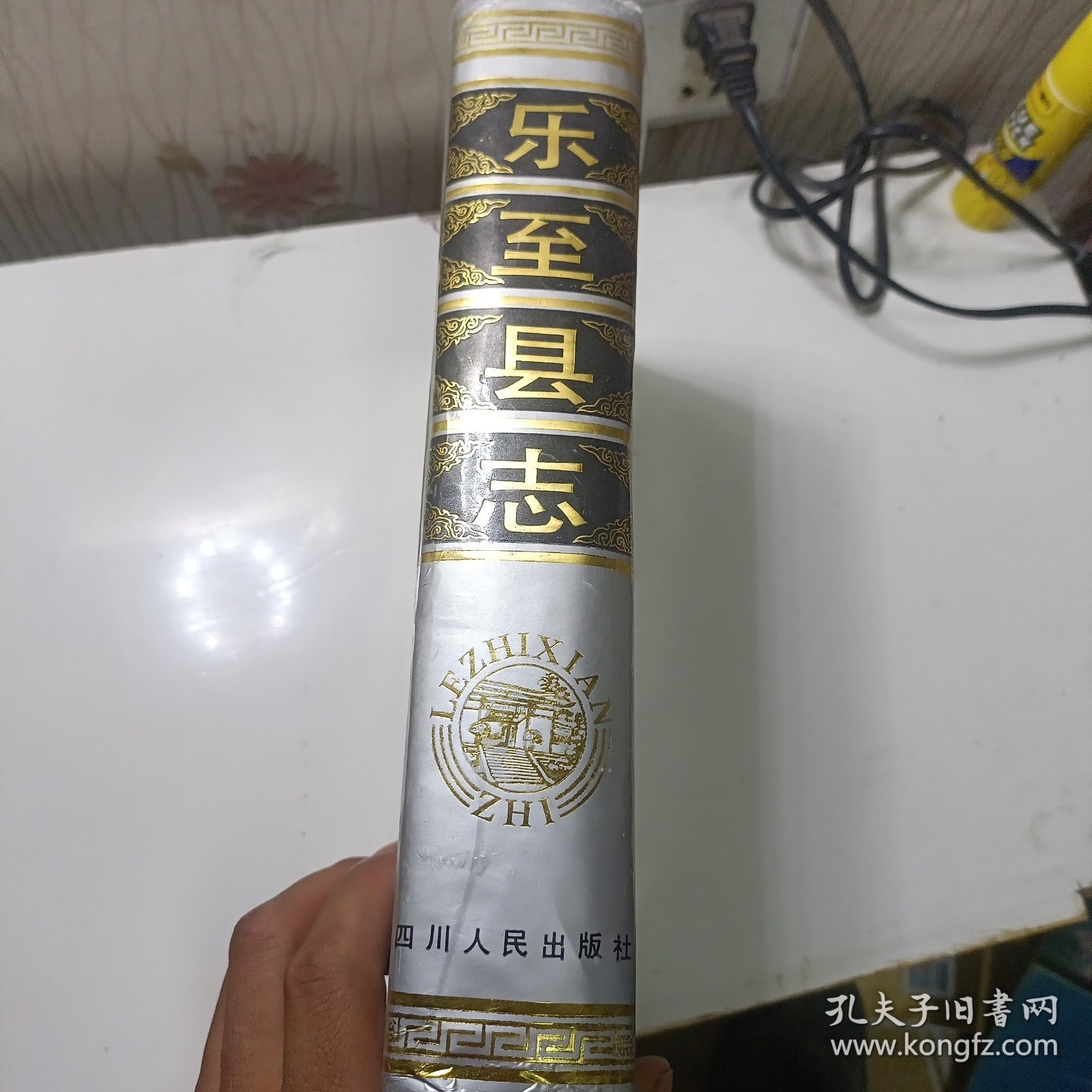 乐至县志