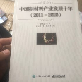 中国新材料产业发展十年（2011-2020）(正版图书很新没有使用过)