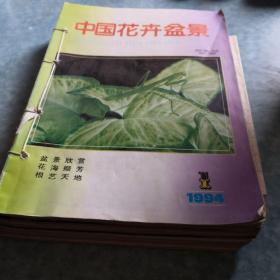 中国花卉盆1994年第一期（2，3，4，5，6，7，9.10.11.12期任选）。选三本以上（含三本）仅收一本运