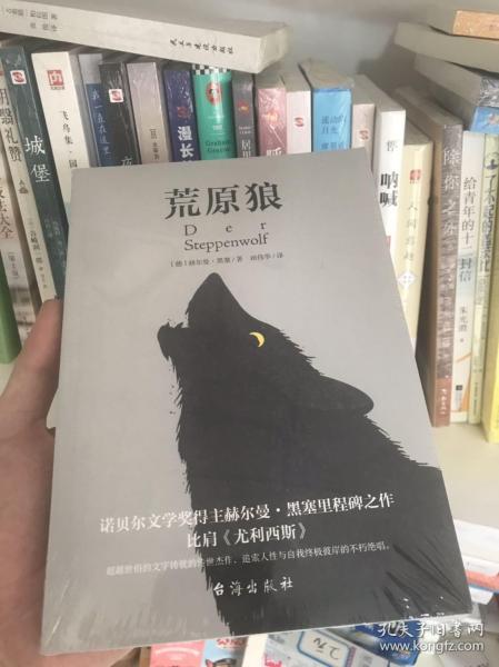 荒原狼（比肩《尤利西斯》，德文直译，无删减完整版。慕尼黑大学图书馆收藏版本。）