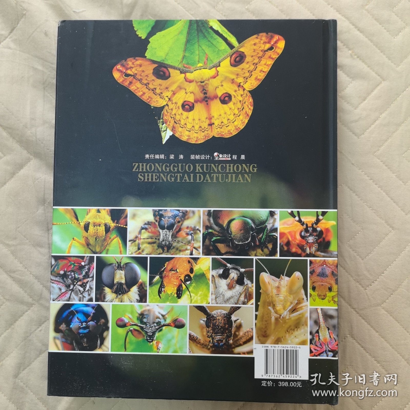 中国昆虫生态大图鉴 精装库存未阅 蝴蝶蜻蜓植物动物生态环境博物