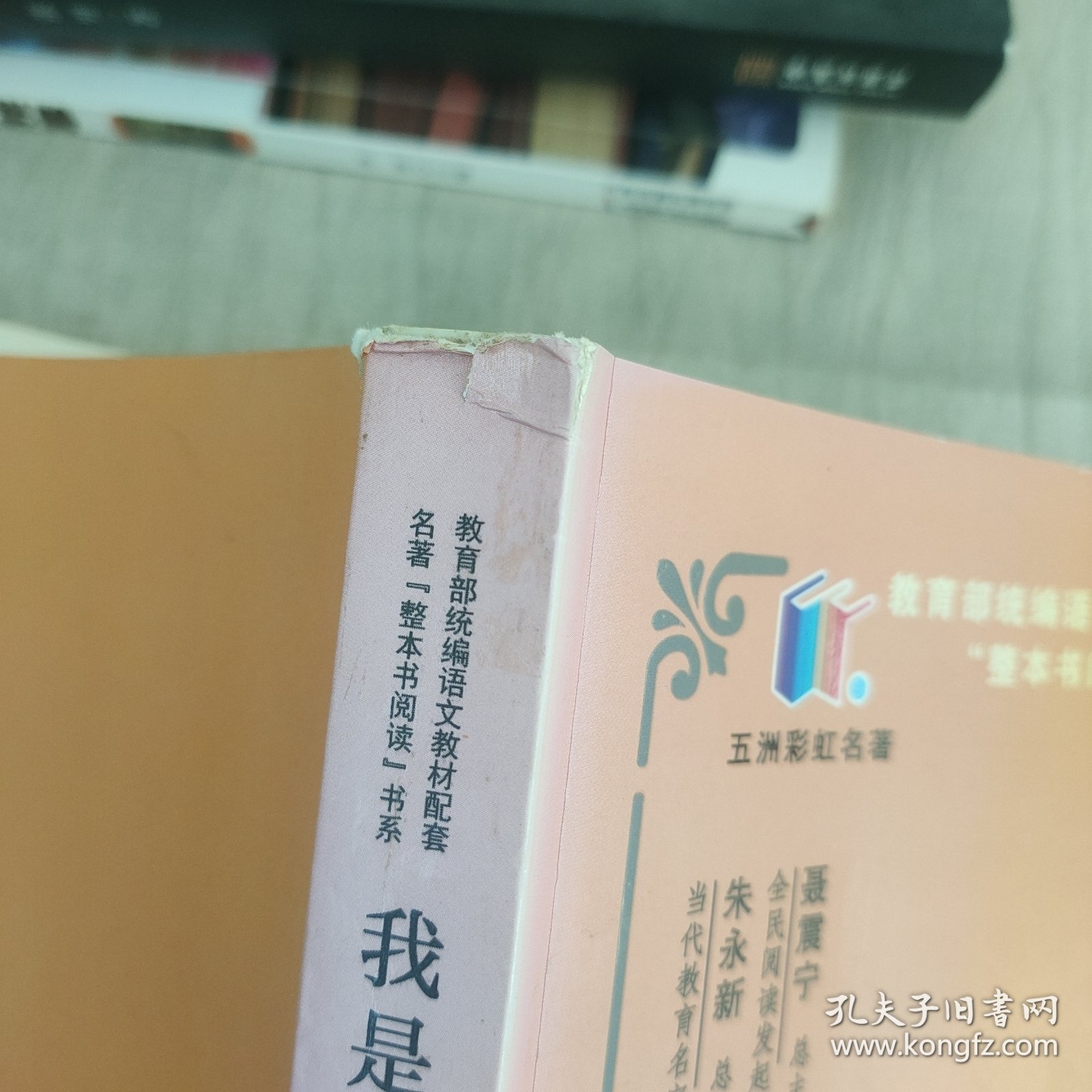 我是猫