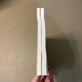 听名师讲课.语文卷 数学卷 2本合售