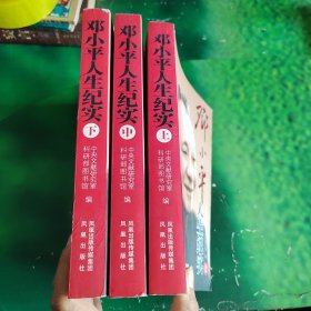 邓小平人生纪实（上中下册）