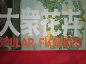 1987年版《大众花卉》总第31期（悬崖菊栽培及管理；米兰的扦插；百合球根的栽植；月季冬季繁殖二法；花卉的家庭组织培养；福建茶盆景；岭南盆景艺术家江词的专题报道；根雕审美特征初探；温室病虫害防治；君子兰快速催箭法；独头菊的培育；千姿百态的宜兴花盆；腐叶土的制作；唐菖蒲病害防治及球茎消毒；古稀珍品绿毛龟）