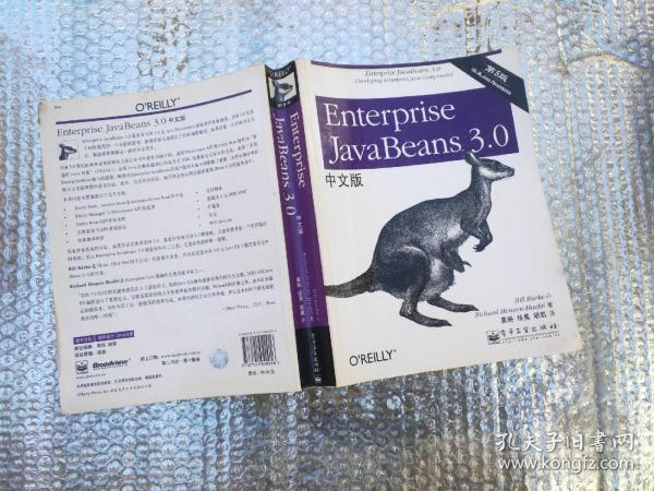 Enterprise JavaBeans 3.0中文版