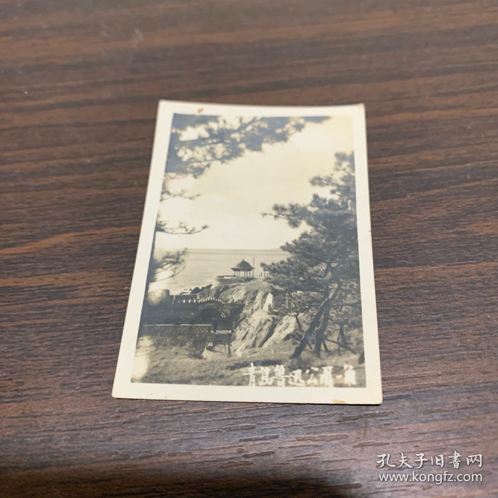 青岛鲁迅公园一角