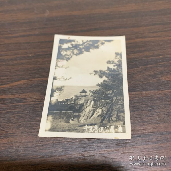 青岛鲁迅公园一角