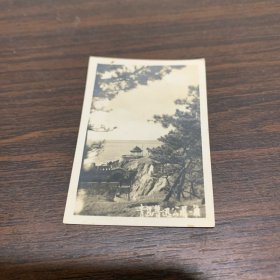 青岛鲁迅公园一角