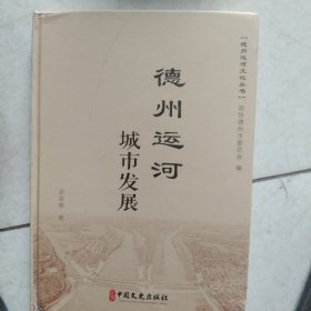 德州运河城市发展