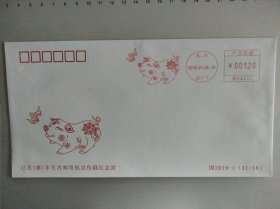 2019己亥(猪)年生肖邮资机戳封(长沙信厂戳)