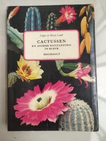 CACTUSSEN en andere succulenten in kleur 荷兰语原版 <仙人掌和其他彩色多肉植物>  图文本