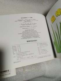 数学启蒙阶段1(套装共8册)《最棒的昆虫游行》《手套不见了》《小小消防队员》《跳跳蜥蜴》《动物上路》、《一双袜子》《女超人麦蒂)》《怪兽大风吹》全套