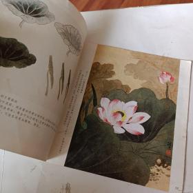 怎样画荷花，龚继先编绘，1987出版