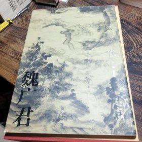 魏广君画集/中国画坛·60一代