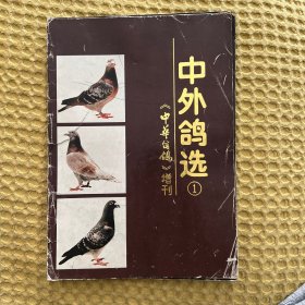 中外鸽选①—《中华信鸽》杂志增刊