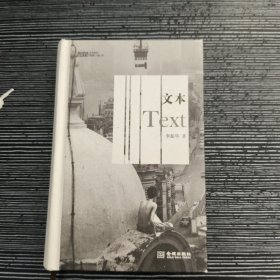 文本：当代艺术书系05·策展人卷