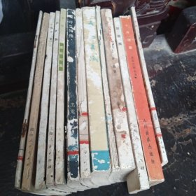 《新苗集》《中国战歌》《少年科学1977年1、3》《送盐》《粤海长城》《来自龟海的报告》《碧空雄鹰》《呼兰河传》《枣林村集》《沂蒙赞》《万恶“圣人家”孔府》《冲决罗网》共13本和售