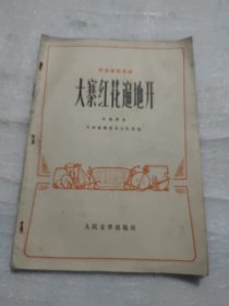 大寨红花遍地开，里面有裂口的