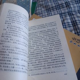 美丽新世界